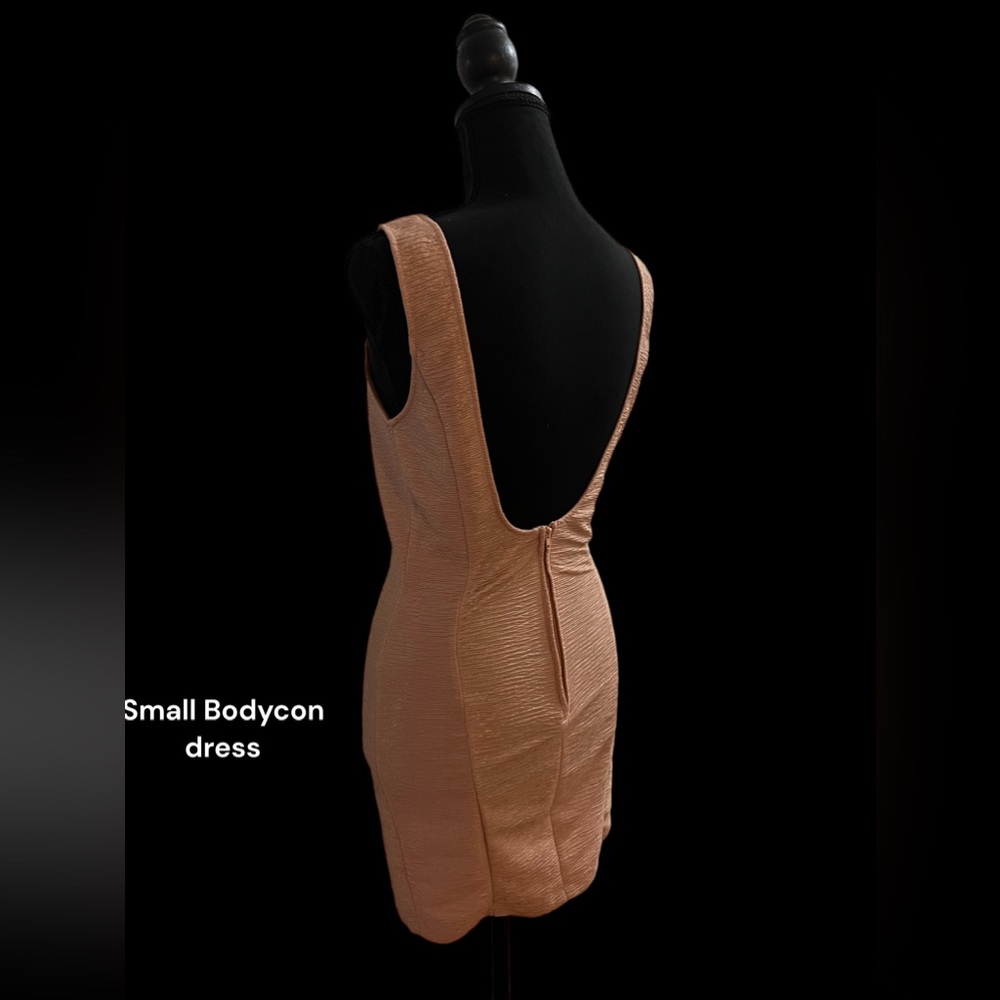 Charlotte Russ Bodycon dress small